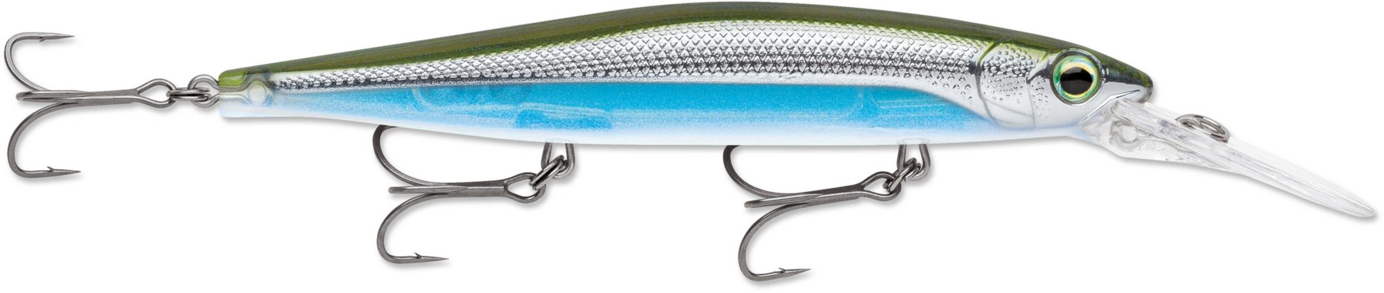 Metallic Moss Back Shiner
