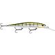 Metallic Yellow Perch