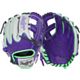 Purple/Grey