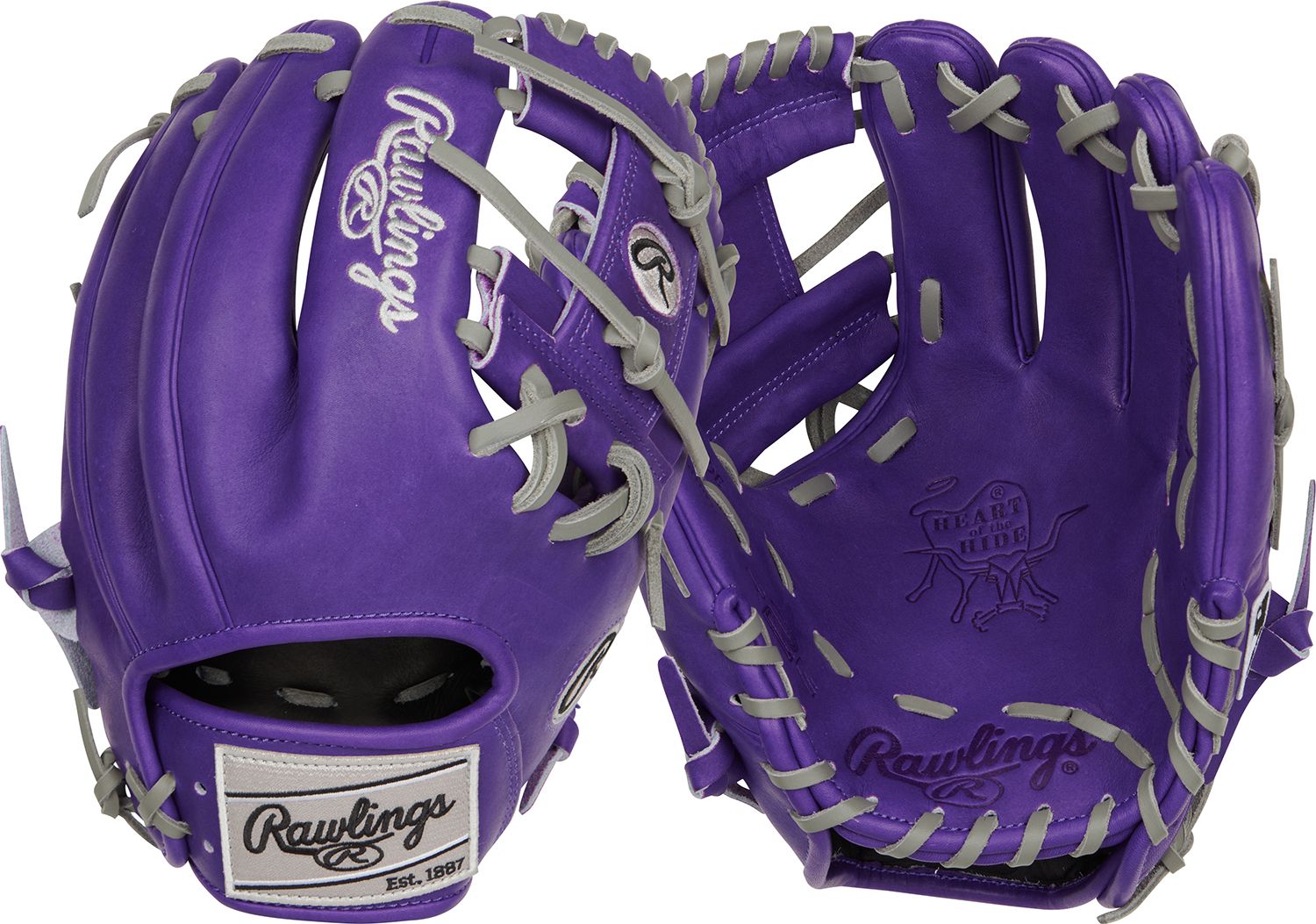 Purple/Grey