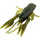 Craw