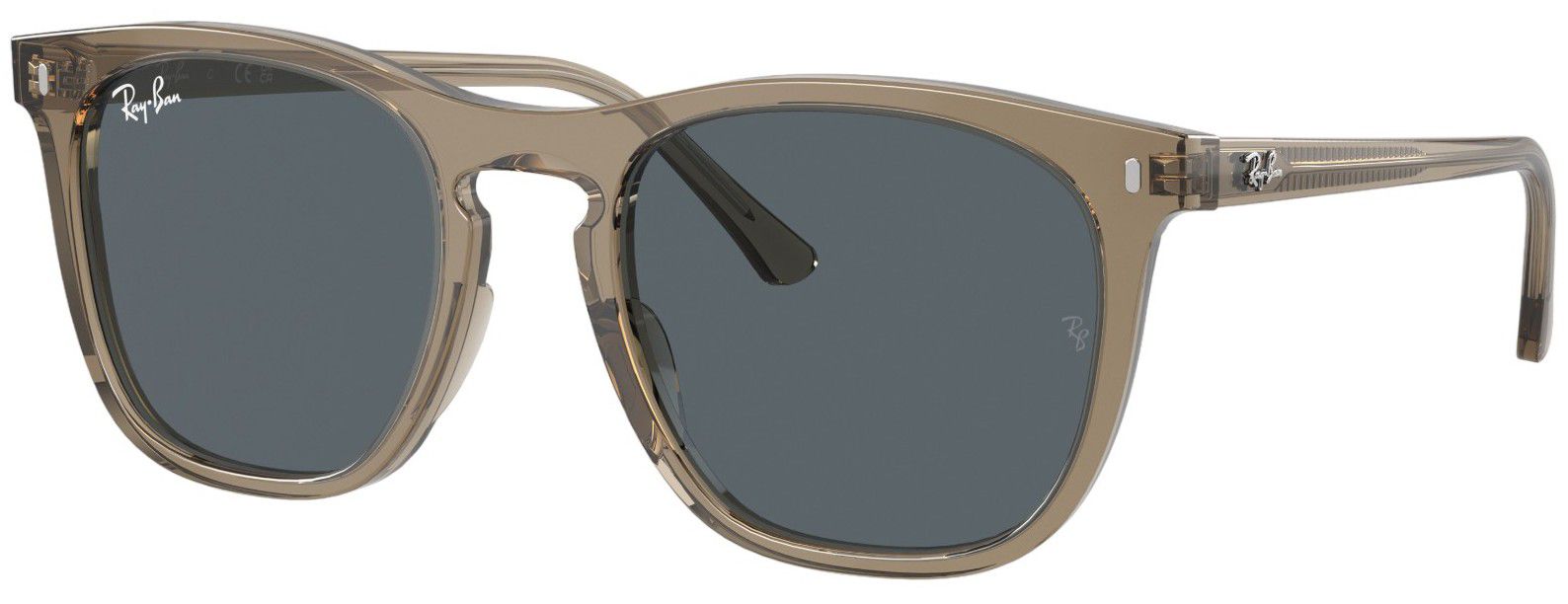 Ray-Ban 0RB2210 Sunglasses