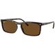 Polar Brown