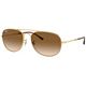 Clear Grad Brown