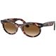 Clear Grad Brown