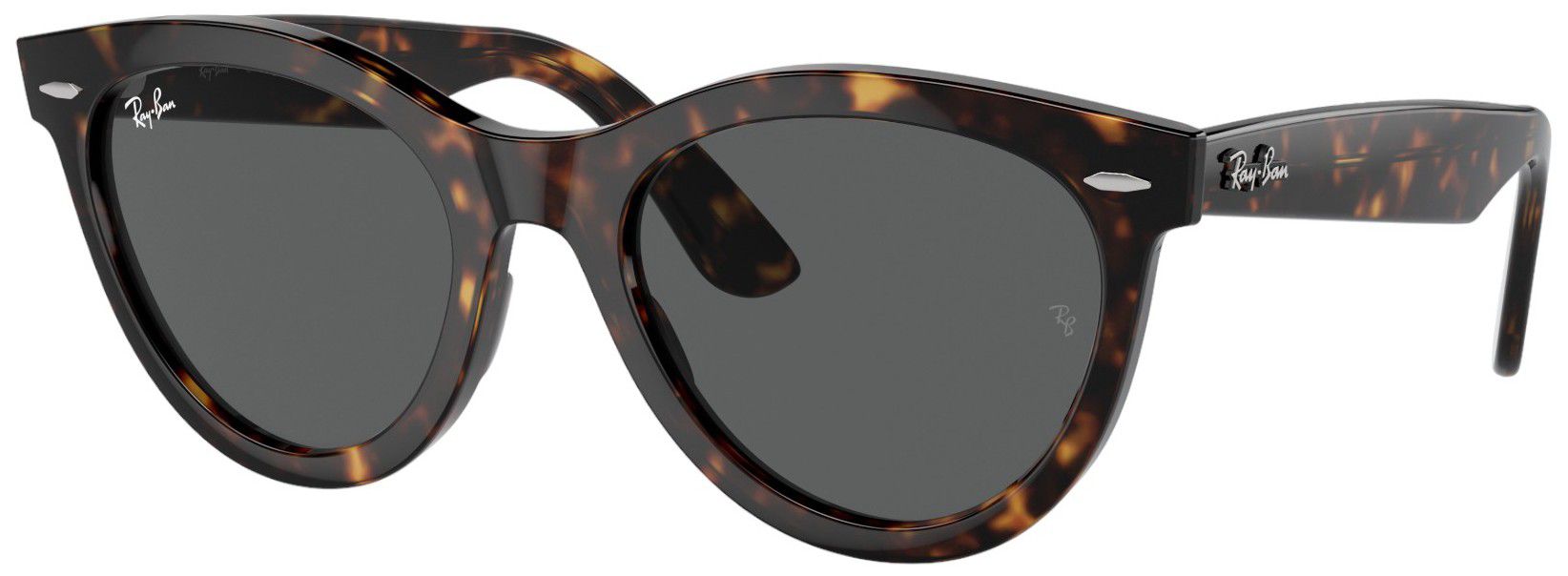 Ray-Ban Wayfarer Way Sunglasses