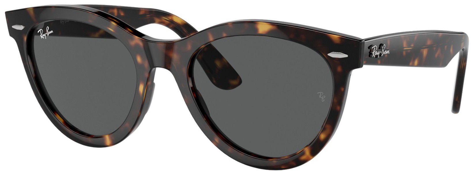 RAY-BAN Wayfarer Way Sunglasses, Men's