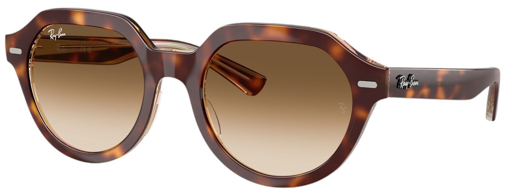 RAY-BAN Gina Sunglasses, Men's