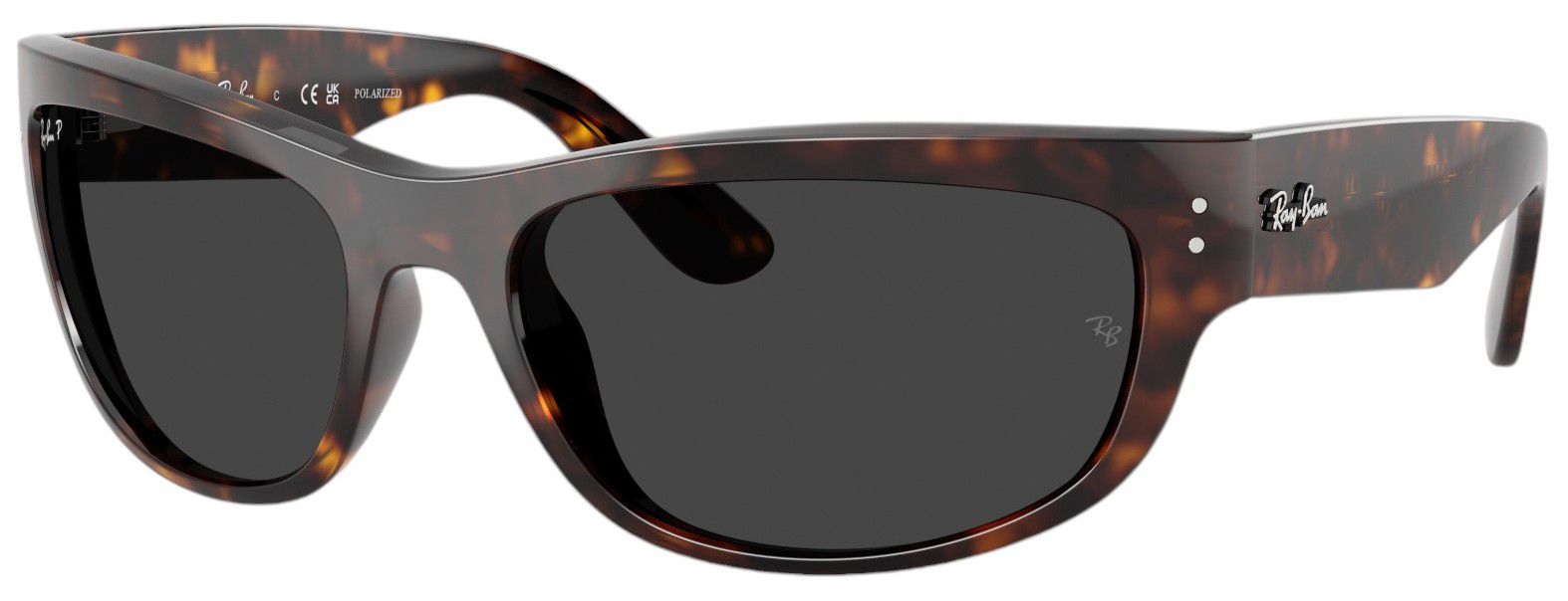Ray-Ban Mega Balorama Sunglasses