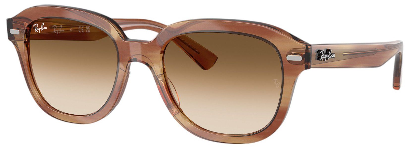 RAY-BAN Erik Sunglasses, Men's