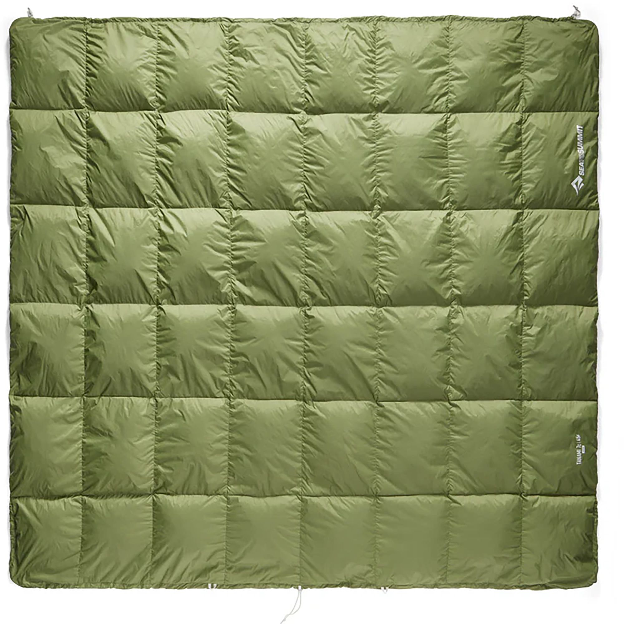 Cypress Green