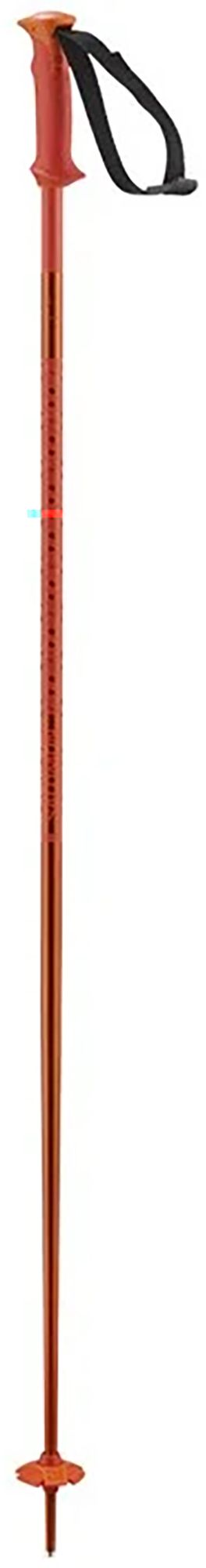 Salomon Polar Ski Poles