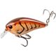 Ginger Craw