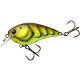 Summer Craw