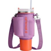 Stanley All Day 40 oz. Quencher Carry-All | Dick's Sporting