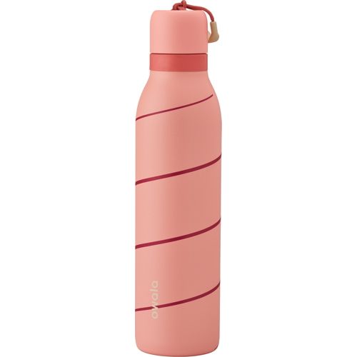 Owala 24 oz. FreeSip Stainless Steel Water Bottle | DICK'S
