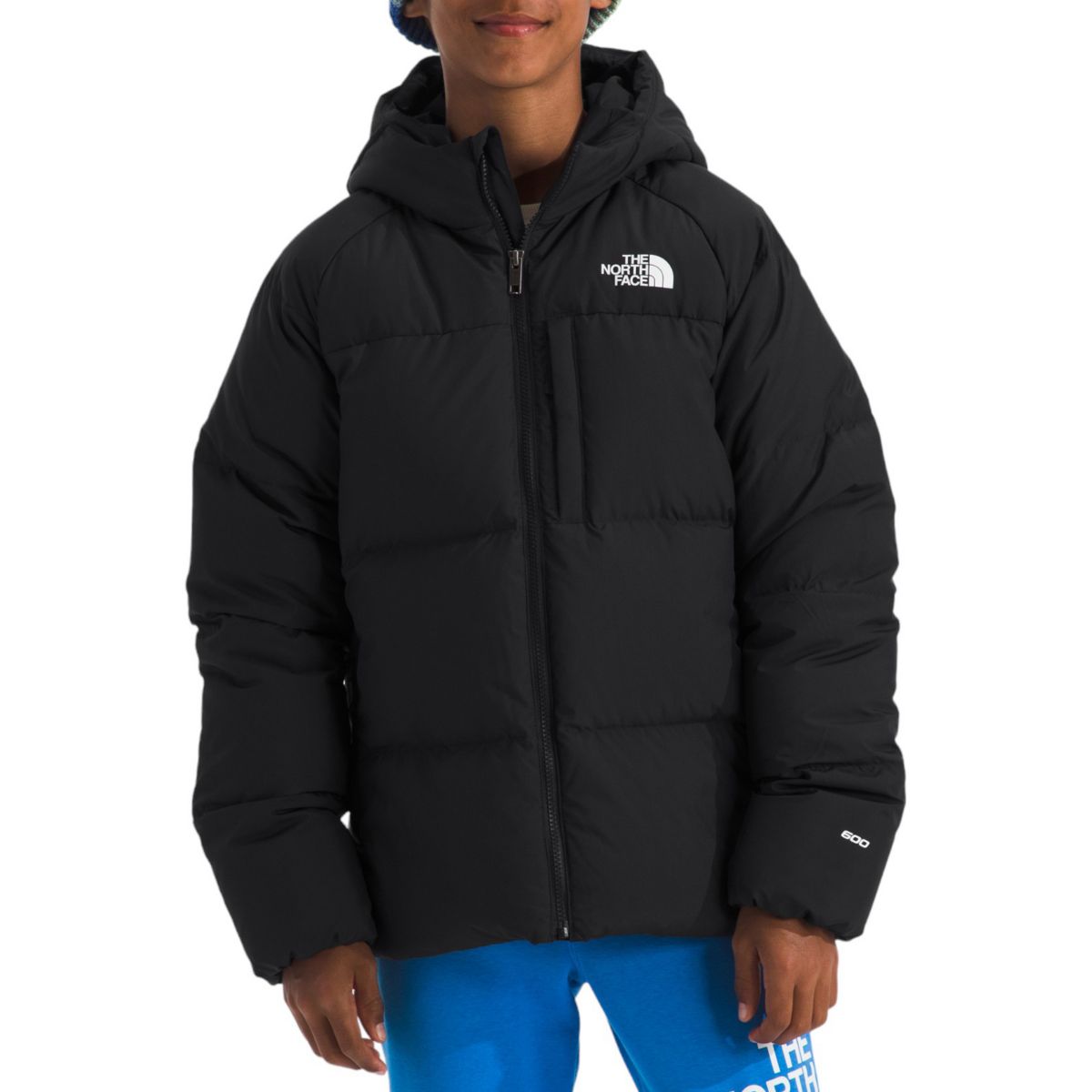 The North Face Little Kids' Arctic Parka | Dick's Sporting Goods