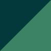 Dimmed Algae/Hunter Green