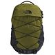 Forest Olive/Tnf Black