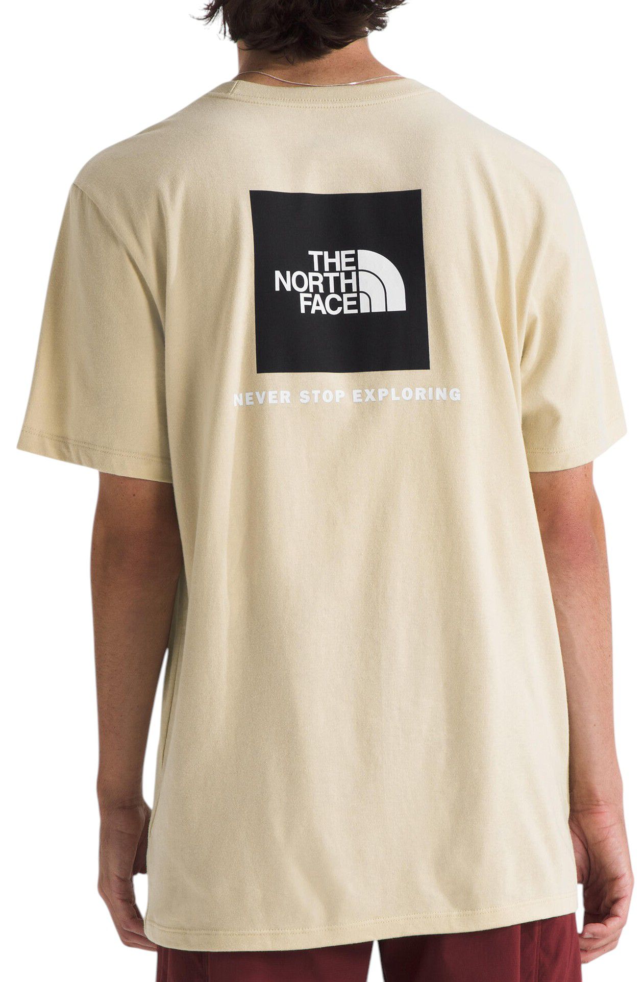 The North Face Men's Box NSE Short Sleeve T-Shirt