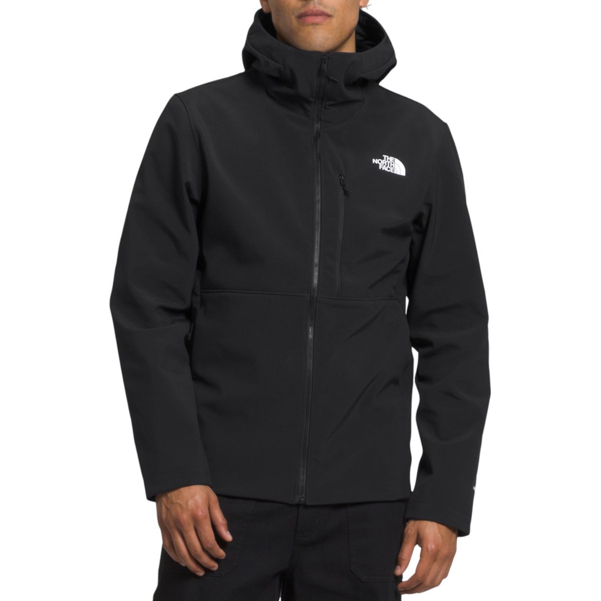 小物 THE NORTH FACE GORE-TEX Down cape North Face Arctic Parka GTX 600 Gore Tex Mens Small MISSING