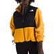 Summit Gold/Tnf Black
