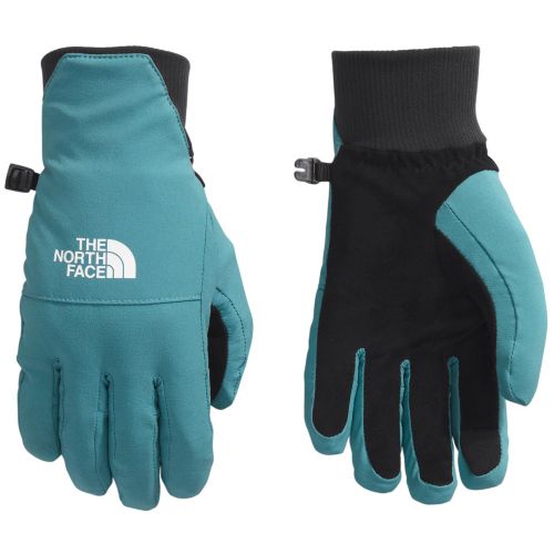 未使用THE NORTH FACE ウィメンズ モンタナスキー ミトン S THE NORTH FACE P最大19倍6/29限定 (取寄) ノースフェイス