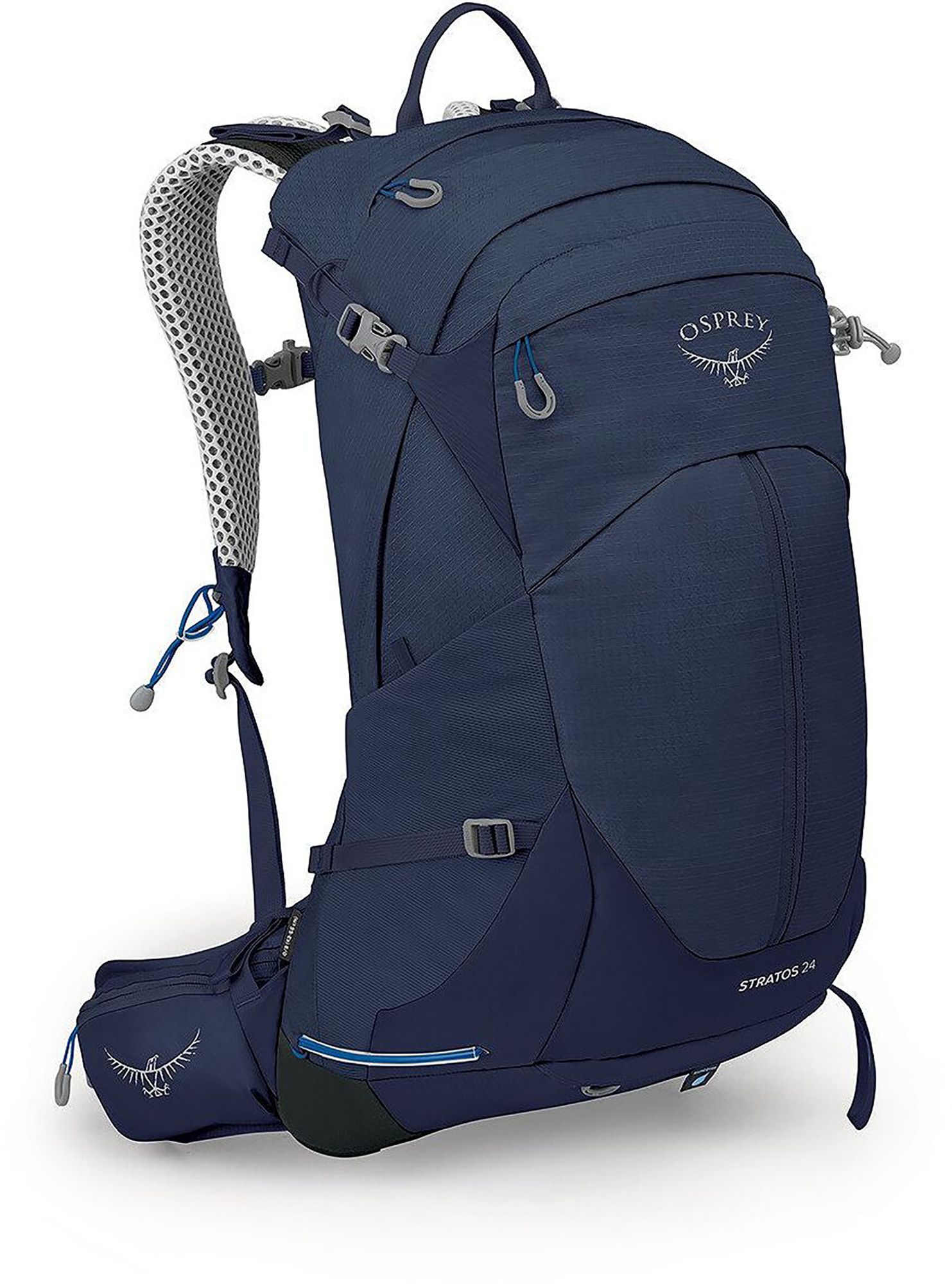 Cetacean Blue