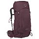 Elderberry Purple