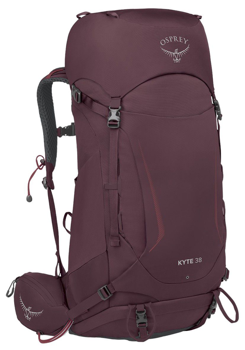 Elderberry Purple