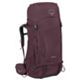 Elderberry Purple