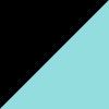 Black/Mint