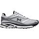 Metallic Silver/White