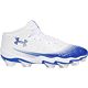 White/Royal