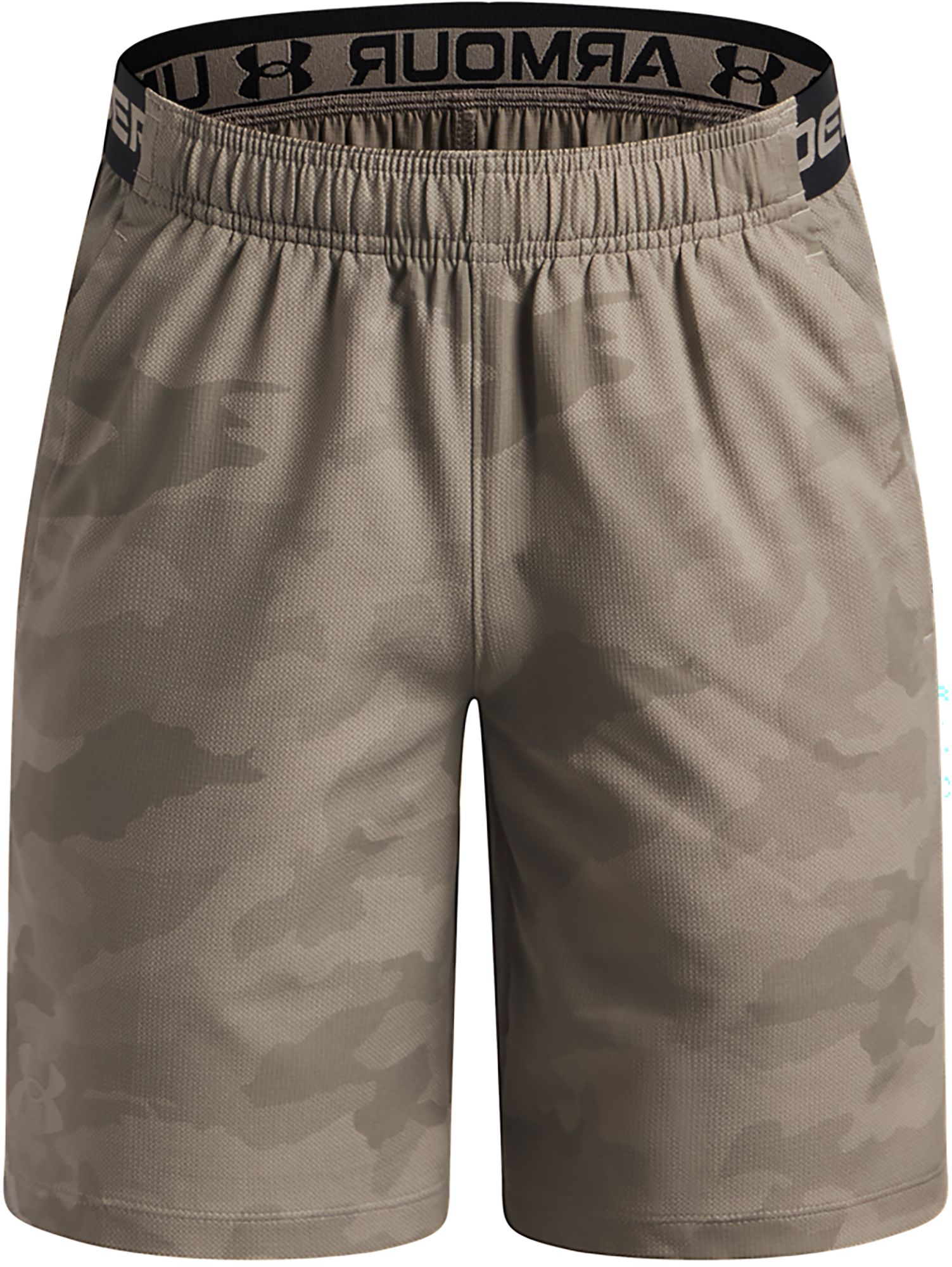 Under Armour Boys' UA Vanish Shorts