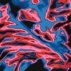 Viral Blue