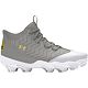 Gray/Gold