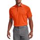 Team Orange/Graphite