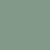 Silica Green/Titan Gray