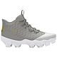 Gray/Gold