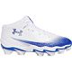 White/Royal