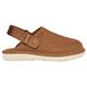 Chestnut