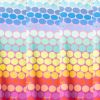 Rainbow Dot