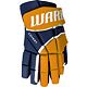 Navy/Gold