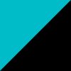 Teal/Black