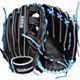 Black/Blue