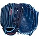 Navy/Blue