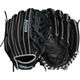 Black/Teal