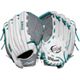 White/Teal