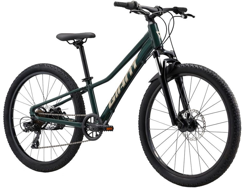 Giant Youth Talon 24” Disc Mountain Bike